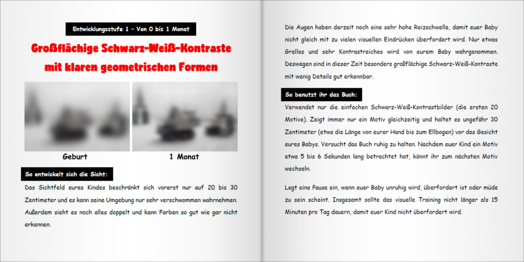 Blick-ins-Buch1